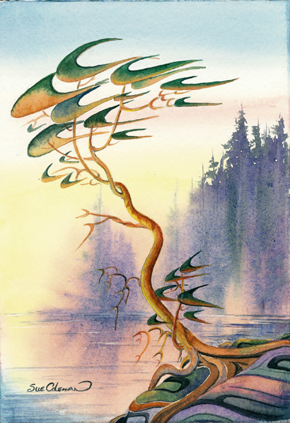 Arbutus