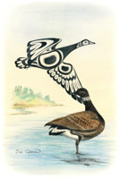 Brant's Goose
