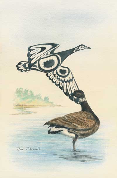 Brant's goose