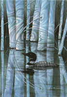 Loon Shadow