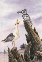 Seagull