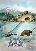 Beaver Dam