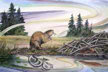 Beaver Family