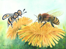 Bee