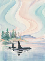 Whale Song