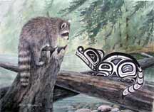 Raccoons