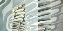 Flight Feathers